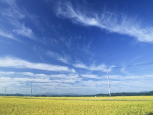 地熱発電所