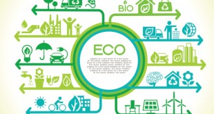 Eco Infographics