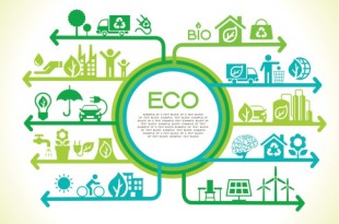 Eco Infographics