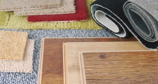 carpet and laminate choice for interior