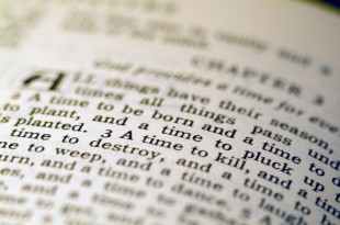 Close-up of text in the Bible