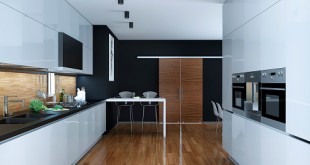 Kitchen modern style