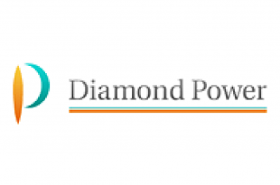 ダイヤモンドパワーロゴ